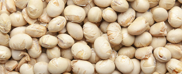 СОЯ ПЕЧЕНА 500 гр